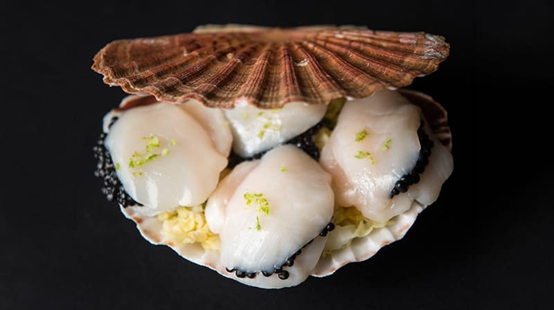coquilles-st-jacques